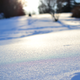 Illustration for article titled Winter Shots